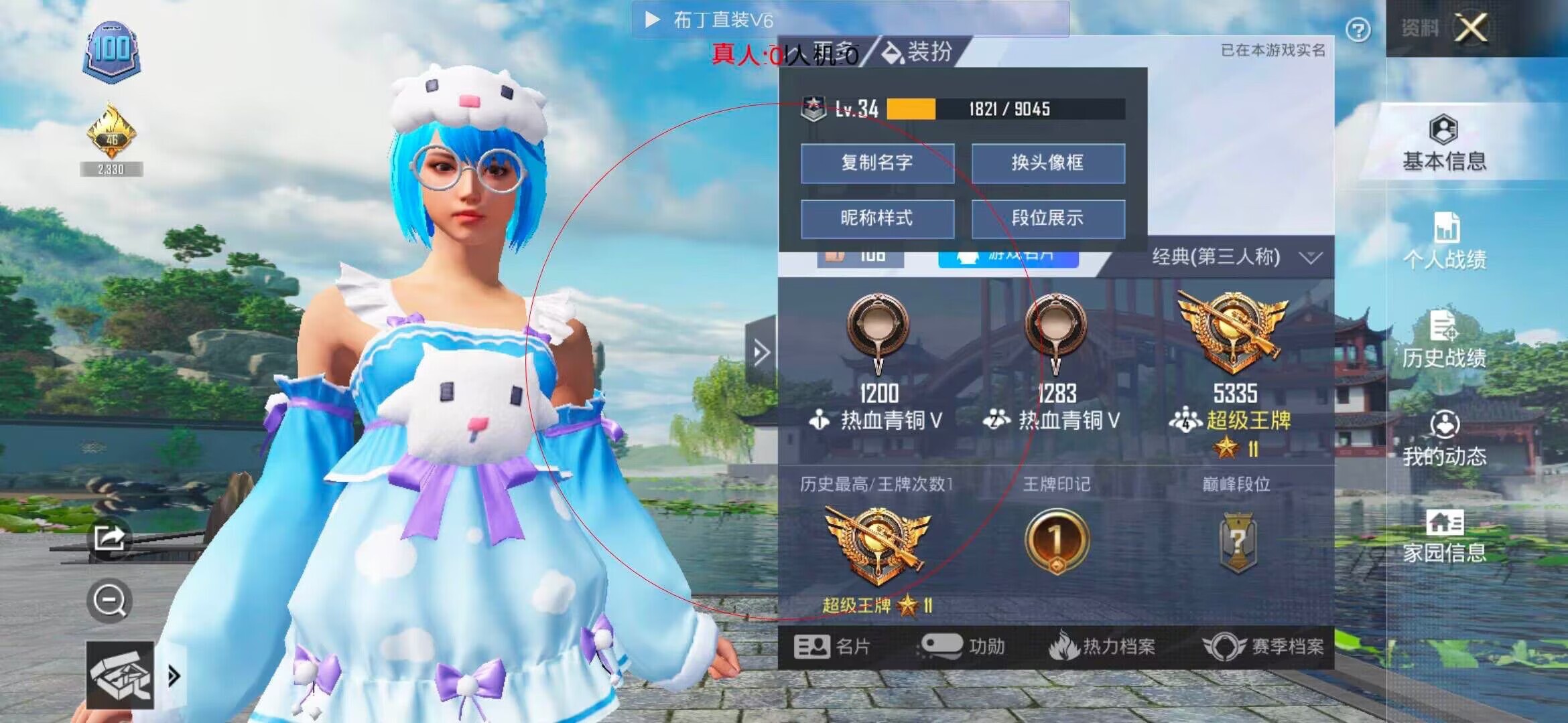 和平精英布丁直装透视 - 王者荣耀辅助商城辅助预览图